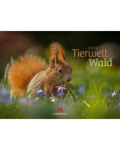 Kalender Tierwelt Wald 2025