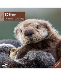 Kalender Otter 2026 - 30x30