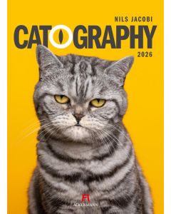 Kalender Catography 2026