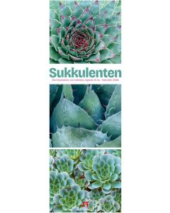 Kalender Sukkulenten 2026