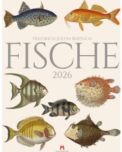 Kalender Fische 2026