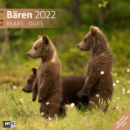Kalender Bären 2022 als Werbeartikel