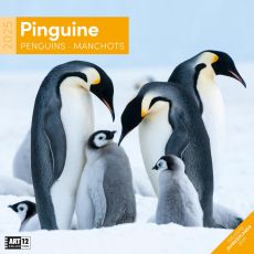 Kalender Pinguine 2023, 30x30 cm als Werbeartikel