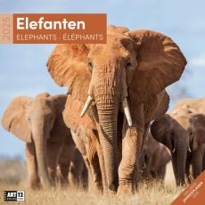 Kalender Elefanten 2023, 30x30 cm als Werbeartikel